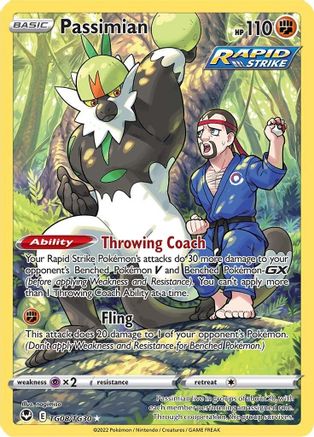 Passimian TG08/TG30 Silver Tempest Holo Rare Near Mint English