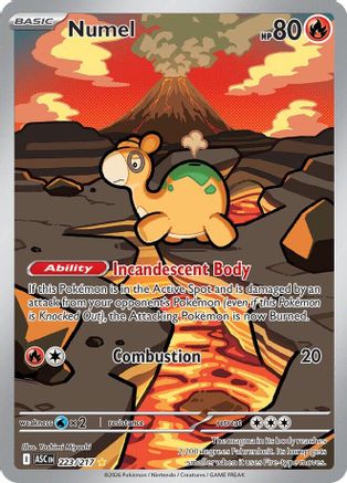 Numel 223/217 Ascended Heroes Illustration Rare Near Mint  English